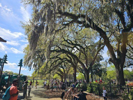 Farmers market and park