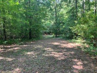 Light trail clearing and trail cutting for hunting