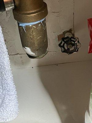 Mice droppings under sink