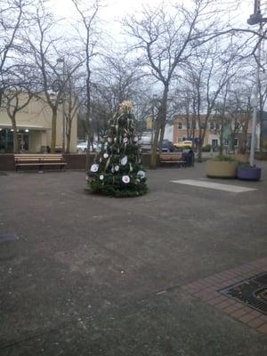 Cute Christmas Tree in St. Johns near the #75 bus stop just across from Starbucks.