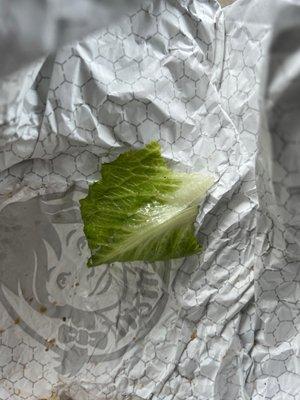 Leaf of the dang ol lettuce