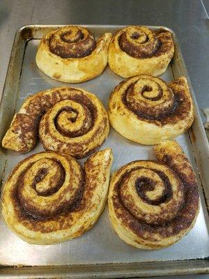 Fresh baked cinnamon rolls!