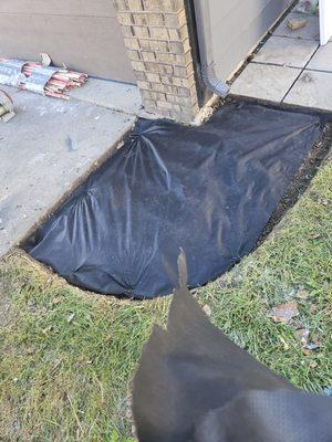 Nunez Stump Removal N More