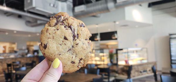 Chocolate Chip Cookie