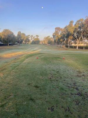 Part of the course. Ready to tee off!!