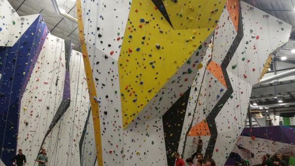 The climbing walls