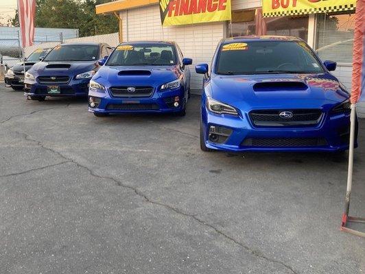 Lots of Subarus