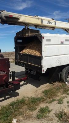 75 foot tree in the back of this customers truck... fixed a double blowout on the truck..