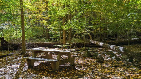 Picturesque picnic tables literally every few feet