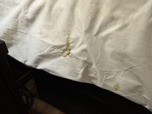 More stains on sheets