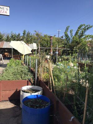 Sustainable garden and plants for sale