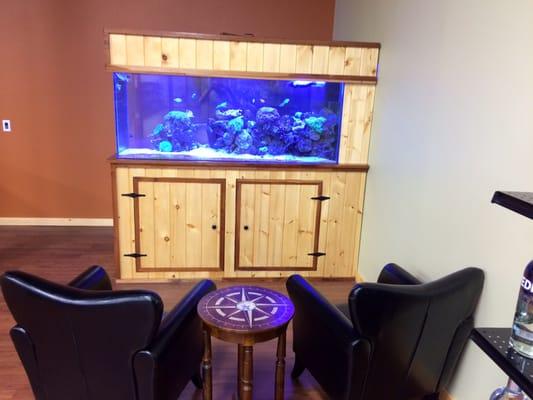 220 gallon salt water fish tank!