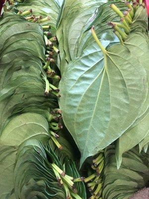 Betel leaf