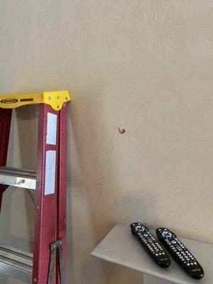 Movers blood on wall from removing mounted TV