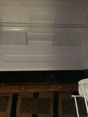 Bugs in the fridge