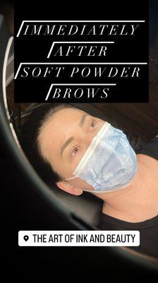 Soft Powder Brows at The Art of Ink and Beauty in Nashville, TN