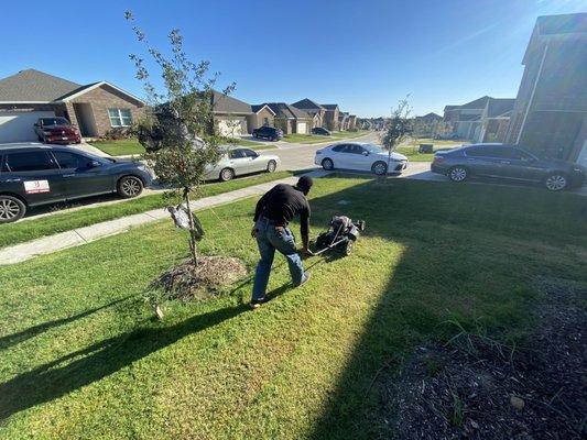 An front yard clean up