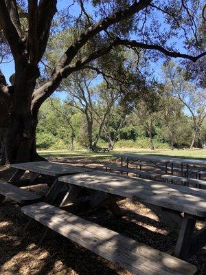 Picnic area!