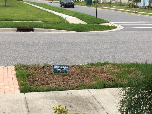 AFTER "treating" my yard. They also spilled chemicals all over the roadway, that eventually washed away.