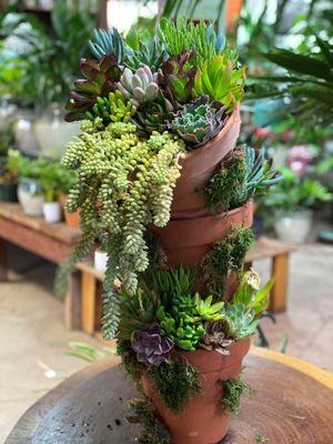 TRIPLE TERRA COTA POT SUCCULENT ARRANGEMENT