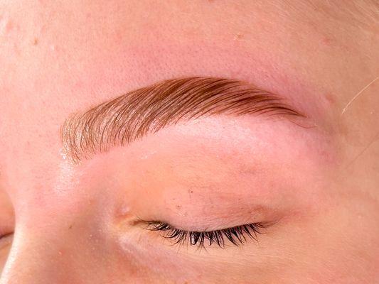 "Cielo" Package (Brow Lamination + Wax + Tint)