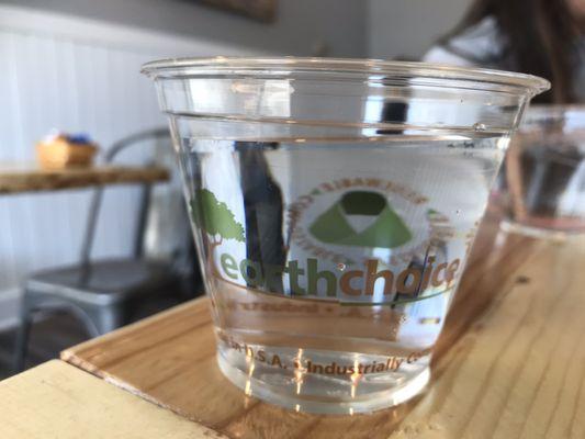 Compostable cups