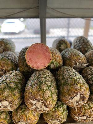 Pink Pineapple