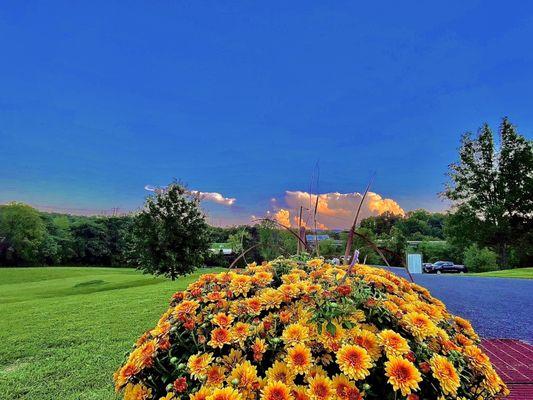 The sunset over the parking lot