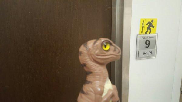 Bob the Raptor Says "There are big private rooms here."