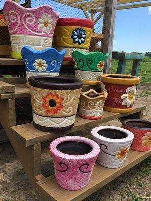 Vibrant Flower Pots