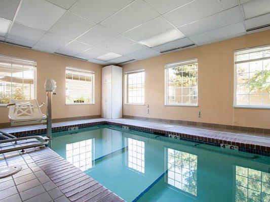 Therapy pool