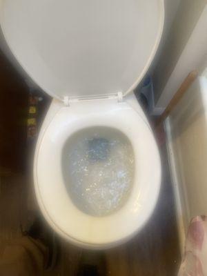 Clogged toilet due to wipes!