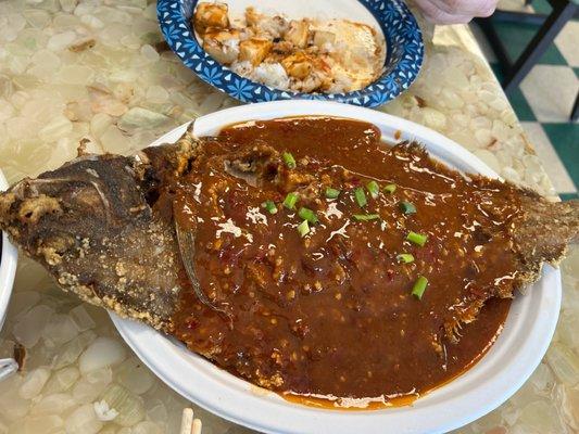 Crispy Whole Flounder in Brown Sauce