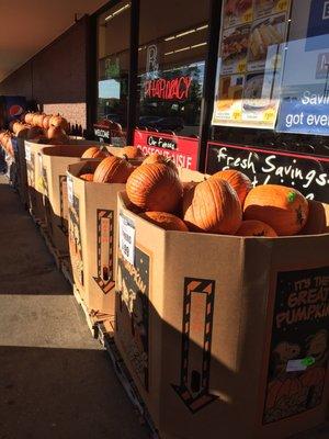 Pumpkin season! $4.99