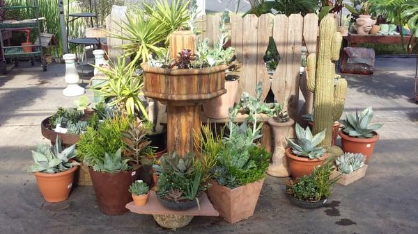 Outdoor planters and fun xeric plants