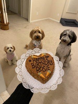 They're sad they had to sit for a photo but when it came time to eat, they dug in immediately and licked up every last crumb!!