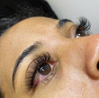 6D volume eyelash extensions