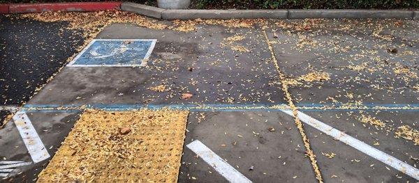 Can get access to the two handicap parking spots because two vehicles are parked their since before 10:00 a.m..