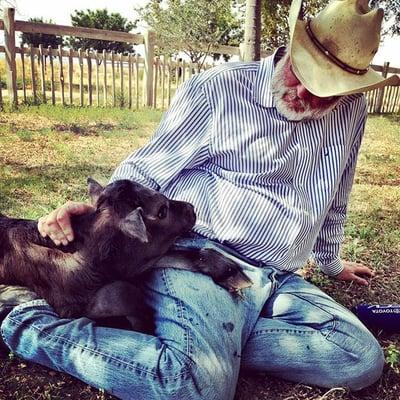 The head cowboy, hanging out with one of the calves in the shade.