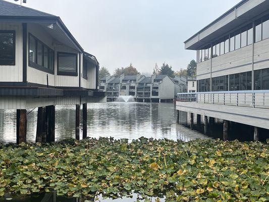 We can see the lake view from our new office (06.01.23)