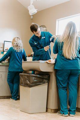 Veterinary Assistant, Devin taking a temperature on a patient.