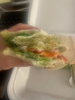 Veggie sandwich really good