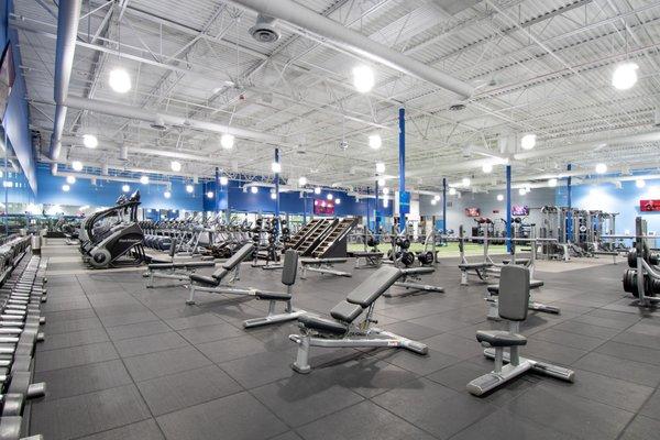 Fitness 19 Free Weights Section