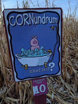 CORNundrums to solve during the corn maze!!!