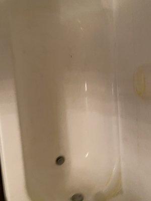 Bathtub After Cleaning