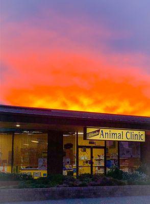 A beautiful day breaks over Milwaukie Animal Clinic.