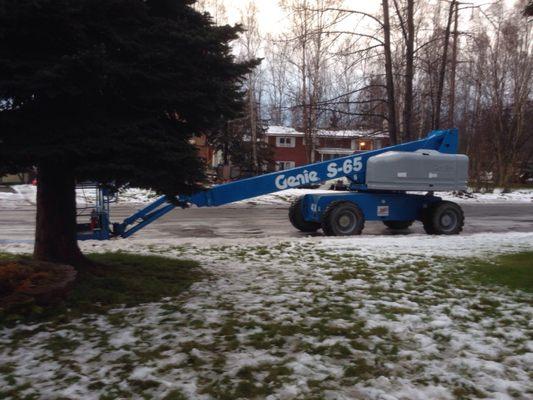 Baileys rental rented me this awesome 65 ft lift to fix my tree.  Great machine.