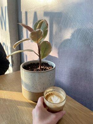 8 oz vanilla latte