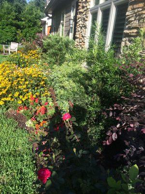 Front yard landscaping installation