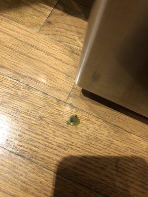 Sticky glob left on kitchen floor by stove after they mopped.